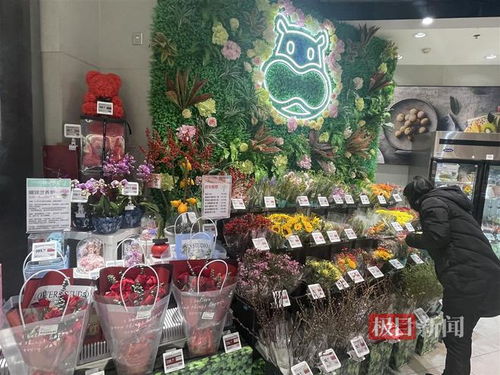 鮮花消費(fèi)日常化趨勢明顯，武漢時令春花綻放新商機(jī)