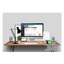 蘇州勝納軟件 專業ERP開發，助力企業智慧升級